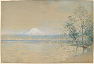 湖畔静景