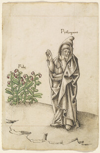 古代人物与植物场景图