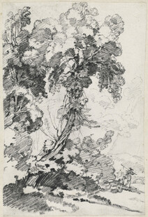 黑白树木风景素描图