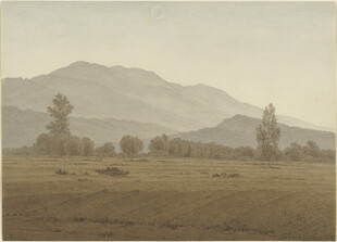 广袤原野与远处山峦景色