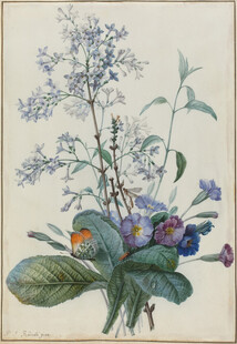复古风手绘花卉植物图