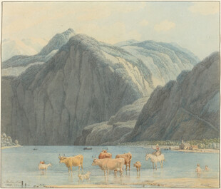 湖畔群牛与远山美景