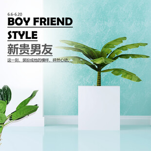 清新风男友风绿植展示