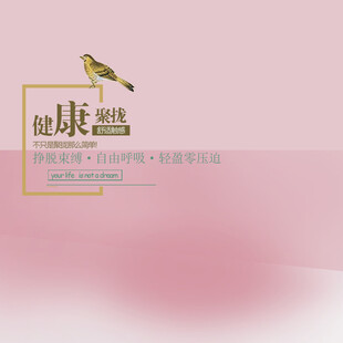 粉色背景上的健康鸟图案