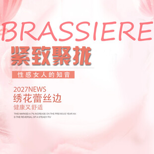 精致蕾丝聚拢女士胸罩