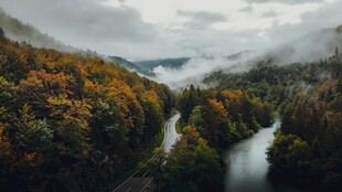 山间秋色溪流