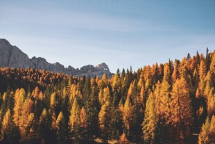 秋日山林美景