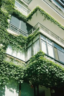 爬满绿植的现