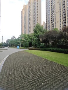 城市中宁静的砖砌步道景观