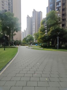 城市中宁静的砖石铺就小路
