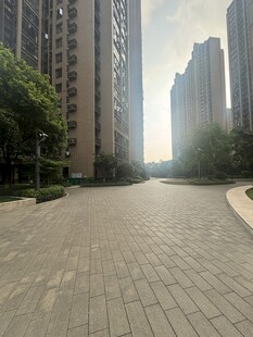 城市中宽阔的砖石铺就道路