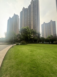 城市草坪与高楼景观