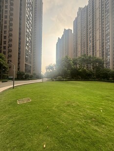 城市中的绿地景观