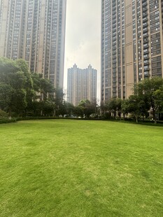 城市中的翠绿草坪景观