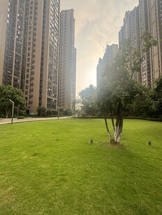 城市草坪与高楼景观