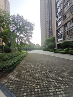 小区内整洁的砖石铺就道路