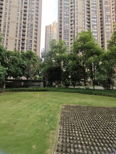 城市中的绿地与高楼景观