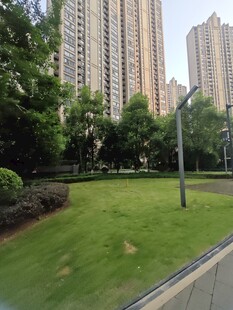 城市中绿意盎然的草坪景观