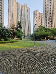 城市中的绿地与高楼景观