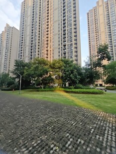 城市中的高楼与绿地景观