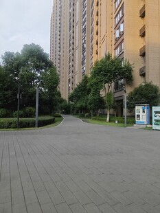 小区内的宽敞道路与高楼