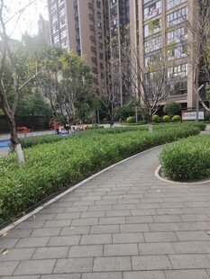 小区内的幽静步道景观