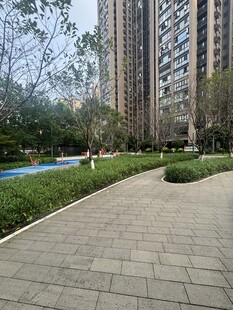 小区内的休闲步道景观