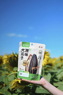 手持向日葵种子包装