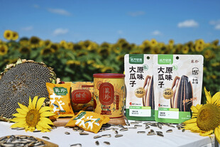 户外美味零食组合展示