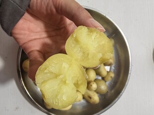 手捧黄蘑菇与白蘑菇