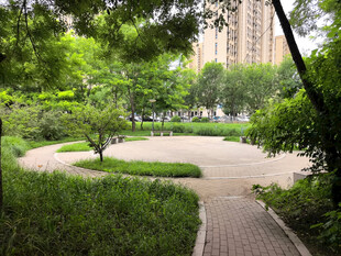 城市中的静谧公园小径