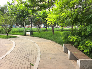 公园中的幽静砖石小径