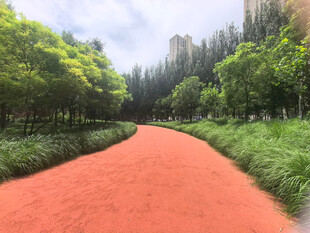 红色林间步道绿意环绕