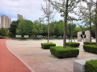 城市公园中的休闲景观