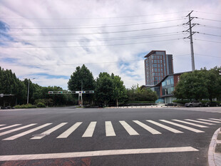 城市道路斑马线与远处建筑