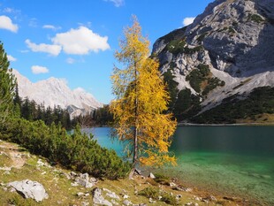 秋日山间湖畔的美丽景致