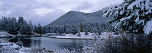 冬日雪景中的静谧山水