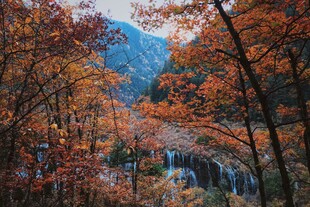 秋日山林瀑布美景