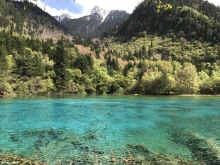 九寨沟梦幻蓝湖