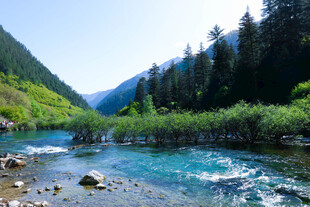 山间清澈溪流