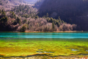 九寨沟山间湖泊美景
