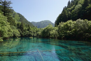 九寨沟湖泊美景