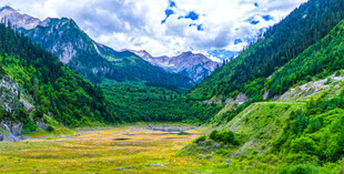 山间绿野美景