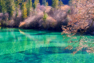 清澈碧绿的自然湖泊美景