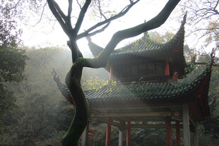 古亭晨景