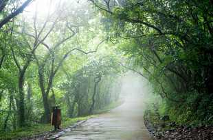 雨后的合肥大蜀山