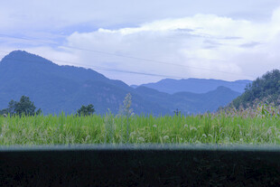 山间绿野