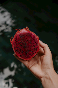 手捧红心火龙果
