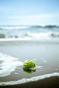 海滩上的绿色小球