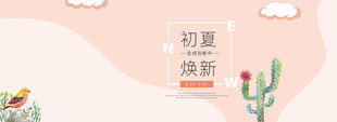 初夏焕新仙人掌装饰画